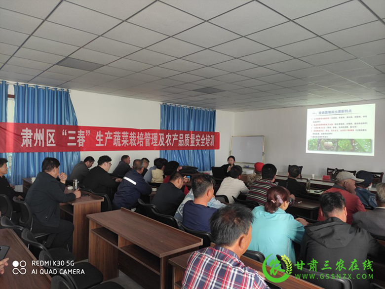 酒泉市农业技术推广服务中心以党史学习教育为抓手聚合力为群众帮办实事