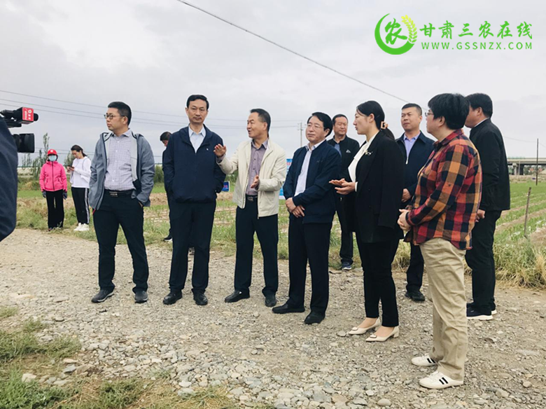 全省农技推广系统抓点示范现场观摩培训暨“金土地杯”建党100周年联庆活动将在酒泉隆重举行