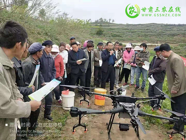 渭源县举办小麦条锈病统防统治现场培训会
