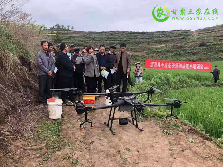 渭源县举办小麦条锈病统防统治现场培训会