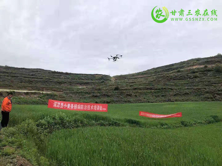 渭源县举办小麦条锈病统防统治现场培训会