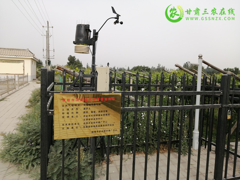 敦煌市”三举措”做好国家级监测点墒情监测工作