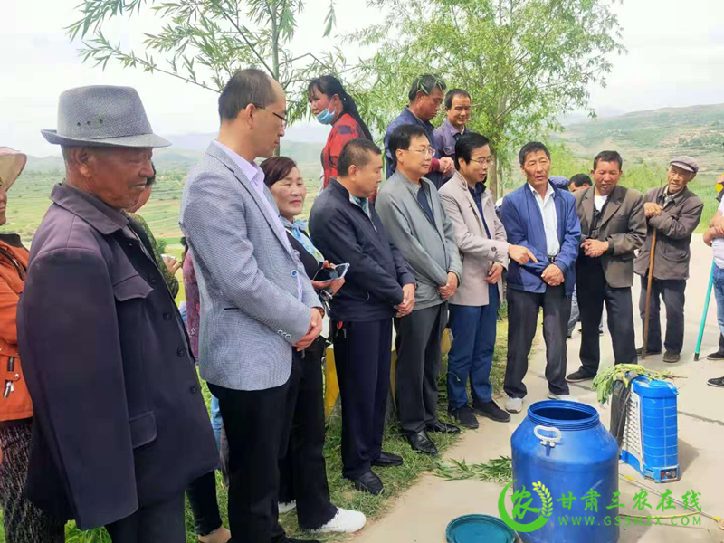 临洮县小麦条锈病防控“激战”正酣
