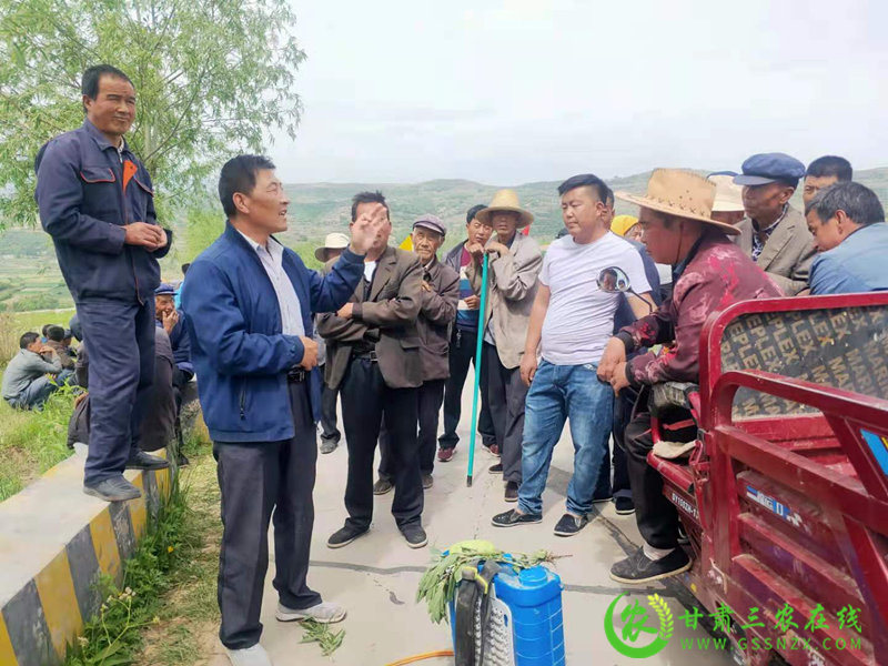 临洮县小麦条锈病防控“激战”正酣