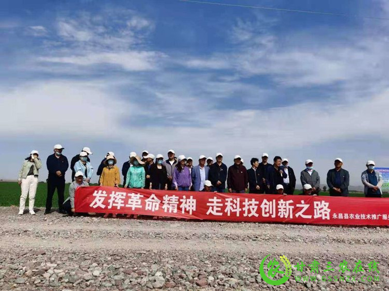 永昌县农业科技示范观摩培训会有声有色