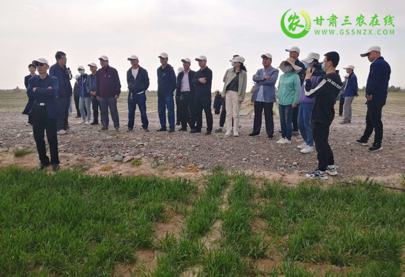 永昌县农业科技示范观摩培训会有声有色