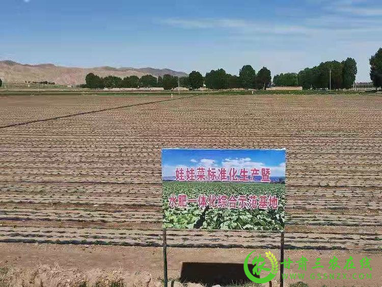 永昌县农业科技示范观摩培训会有声有色