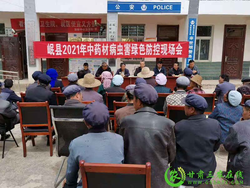岷县召开中药材病虫害绿色防控技术现场培训会
