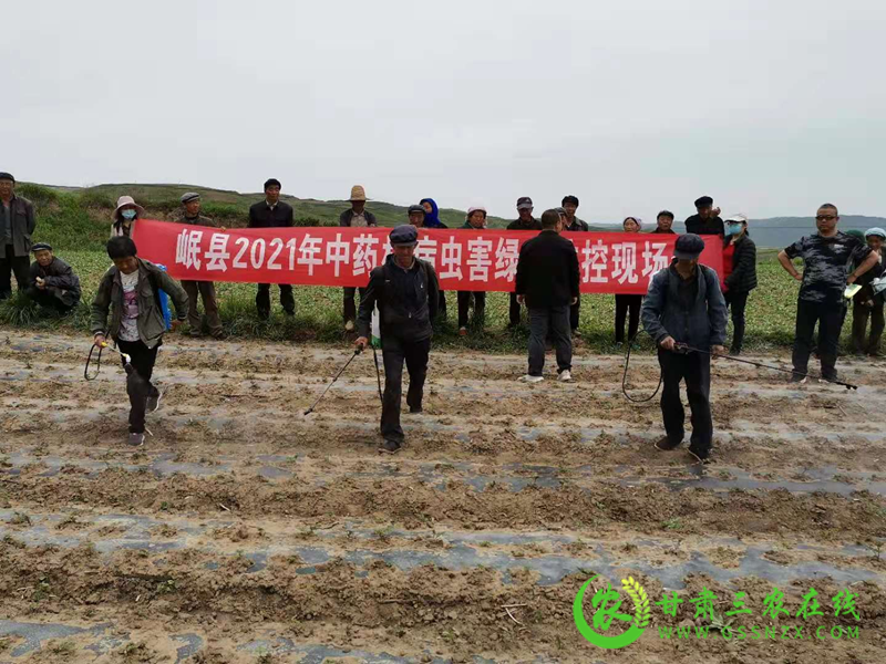 岷县召开中药材病虫害绿色防控技术现场培训会