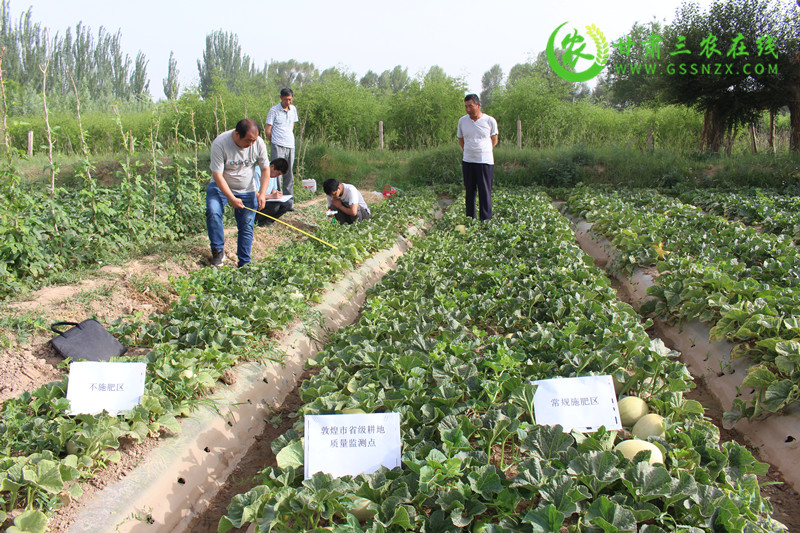 敦煌市有序实施退化耕地治理项目确保耕地质量有效提升