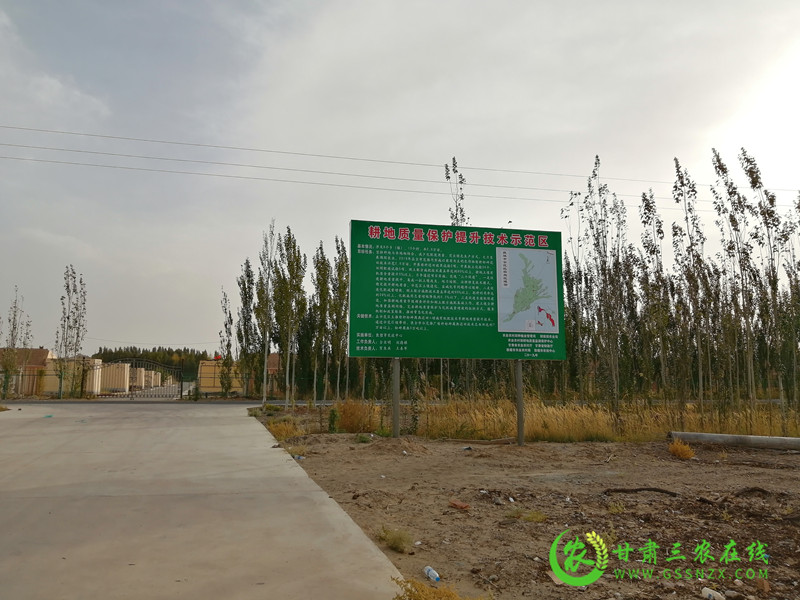 敦煌市有序实施退化耕地治理项目确保耕地质量有效提升