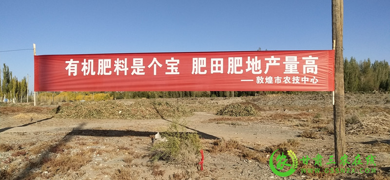 敦煌市有序实施退化耕地治理项目确保耕地质量有效提升