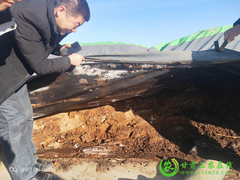 敦煌市耕地质量提升（退化耕地治理）技术要点
