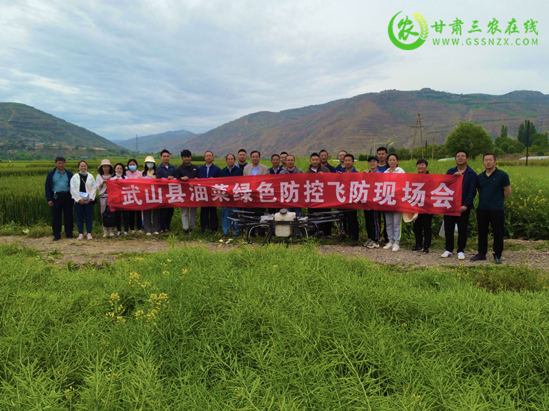 油菜高效防控技术培训班及飞防现场观摩会在天水召开