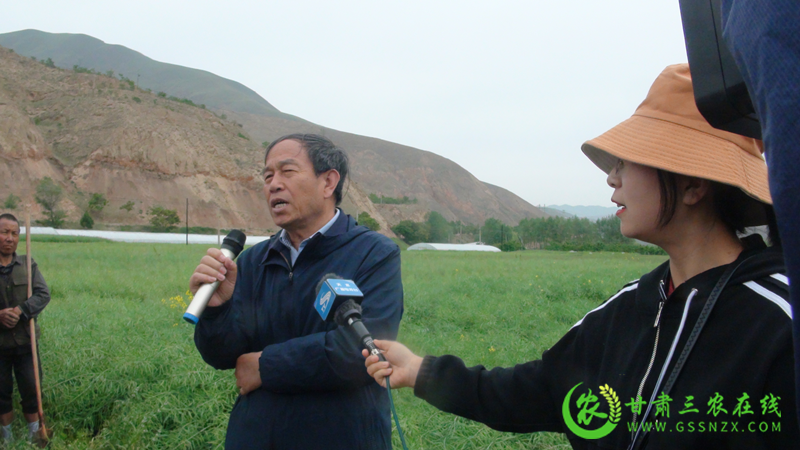 油菜高效防控技术培训班及飞防现场观摩会在天水召开