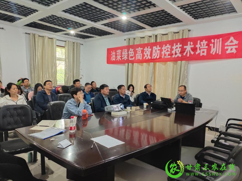 油菜高效防控技术培训班及飞防现场观摩会在天水召开