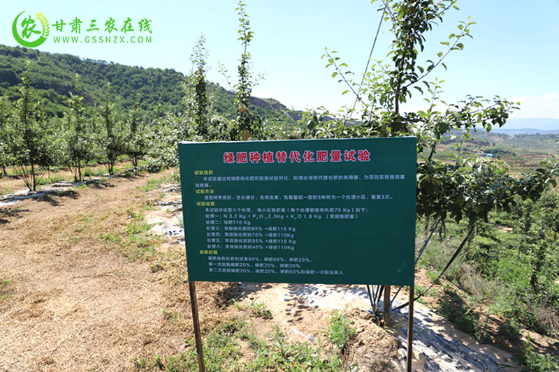 麦积区主推4种技术模式 提高苹果有机肥替代化肥利用率