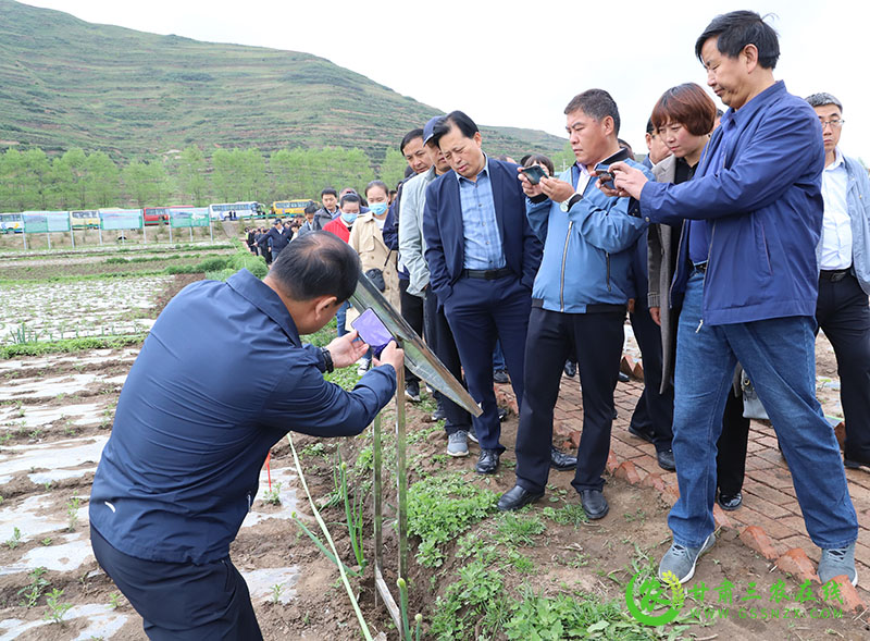 蔬菜有机肥替代化肥项目带动榆中县有机肥增量达1万吨以上