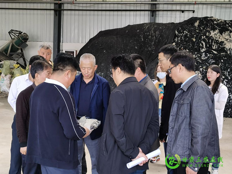省农业农村厅督查调研庄浪县《固体废物污染环境防治法》贯彻落实情况