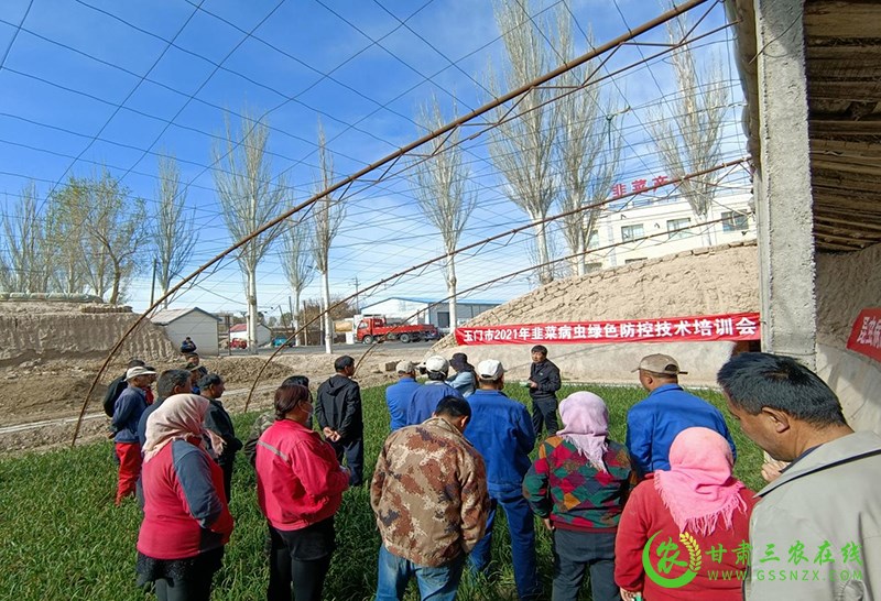玉门市农林中心紧抓田间培训确保农业安全生产