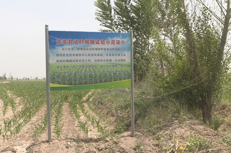 省农技推广总站省农环总站督导调研景泰县农业生态资源保护重点工作