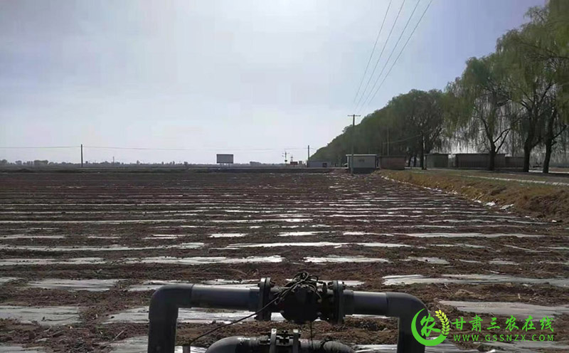 酒泉市着力推广智能水肥一体化旱作节水农业技术