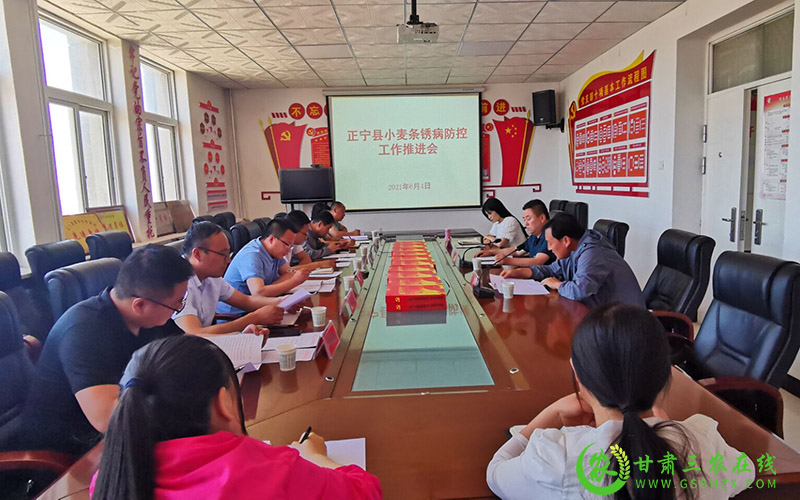 正宁县召开小麦条锈病防控工作推进会