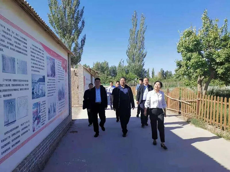 省农业农村厅党组成员、副厅长朱宝莹一行督查酒泉市严格规范村庄撤并工作