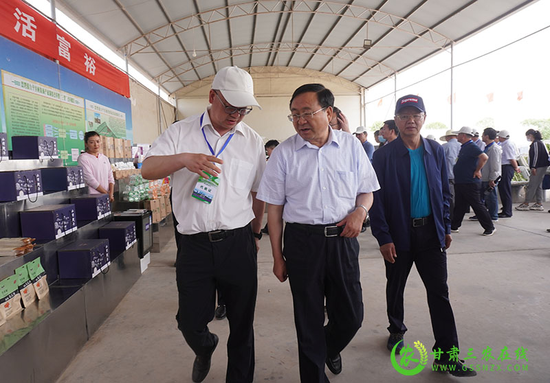 全省农业产业强镇建设现场推进会在金川区召开