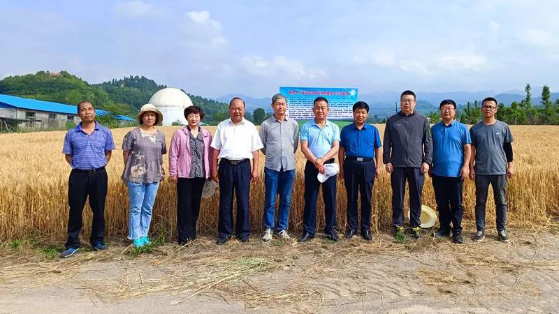 省农技总站站长赵贵宾一行莅临徽县检查指导农技推广工作