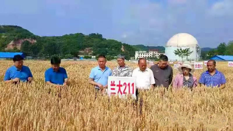 省农技总站站长赵贵宾一行莅临徽县检查指导农技推广工作