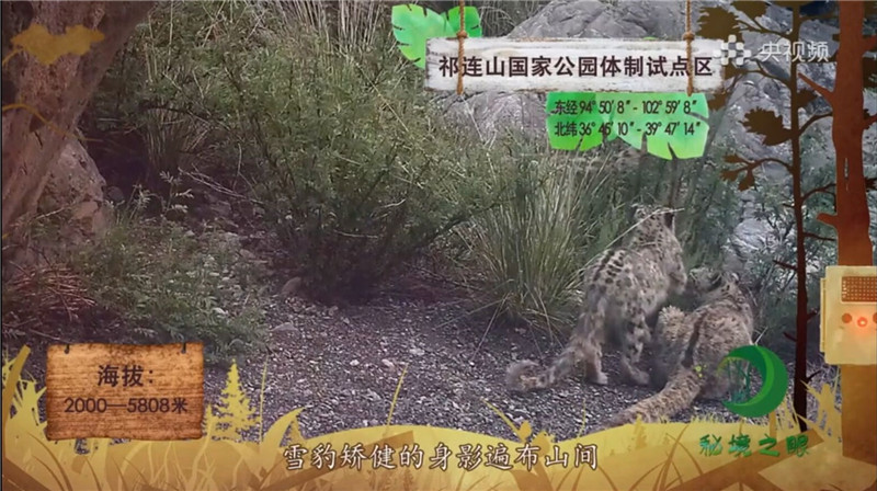 甘肃省保护专题片获殊荣