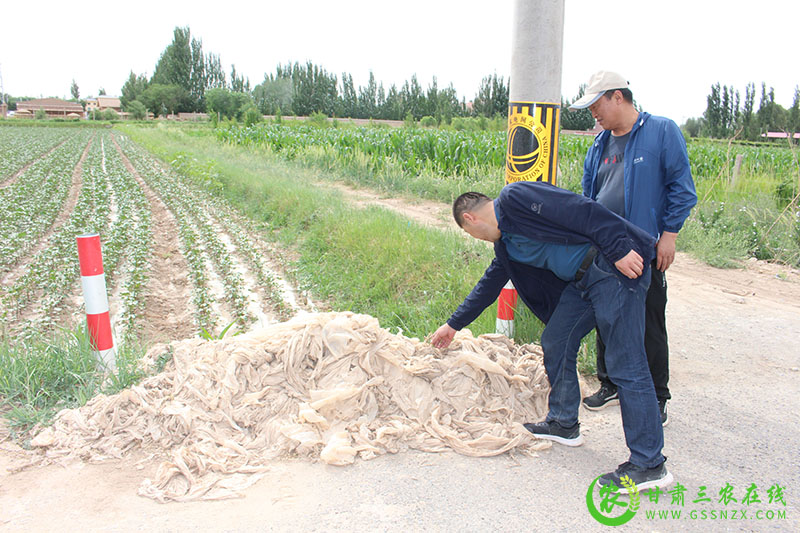 敦煌：开展废旧农膜回收专项排查整治