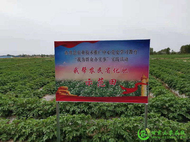 山丹县农技中心开展“我帮农民建良田”实践活动