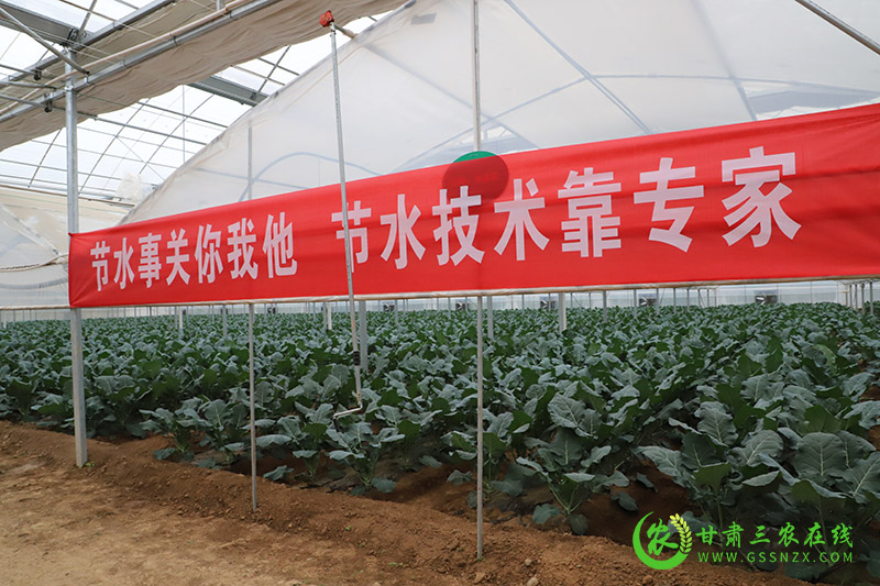 秦州区加强旱作节水农业技术应用提高水肥资源利用效益