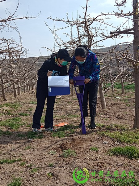 秦州区今年继续推广应用测土配方施肥技术面积95万亩以上