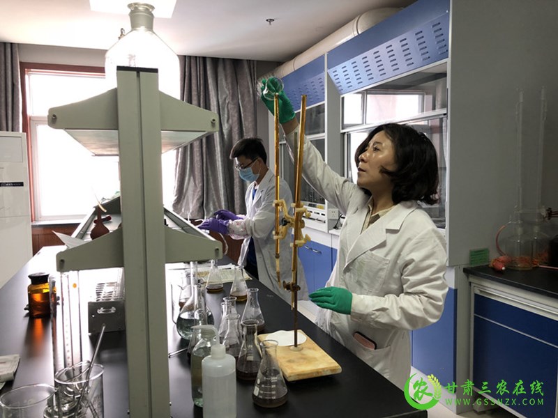 秦州区今年继续推广应用测土配方施肥技术面积95万亩以上