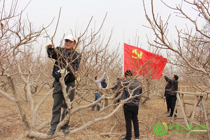 敦煌市农技中心“立体式”学习出“十”招  确保党史教育入脑入心