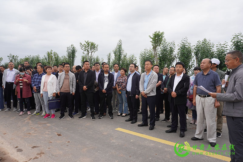 全省农技推广抓点示范现场观摩团走进民乐观摩现代丝路田园综合体示范区