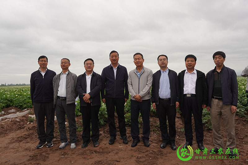 全省农技推广抓点示范现场观摩团走进民乐观摩现代丝路田园综合体示范区
