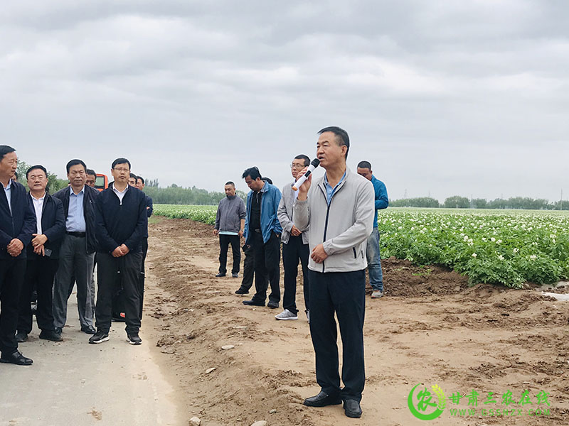 全省农技推广抓点示范现场观摩团走进民乐观摩现代丝路田园综合体示范区