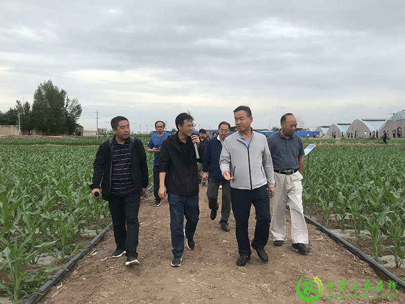 全省农技推广抓点示范现场观摩团走进甘州区观摩农业科技综合示范点