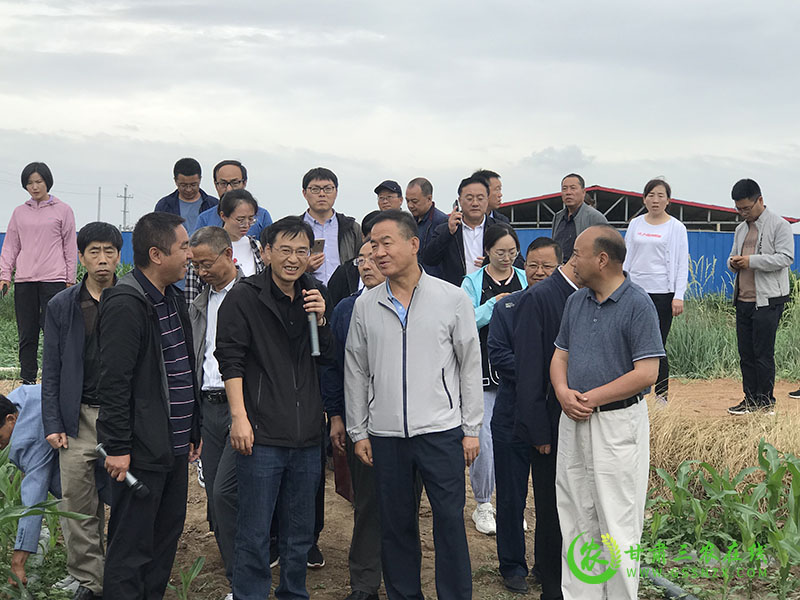 全省农技推广抓点示范现场观摩团走进甘州区观摩农业科技综合示范点