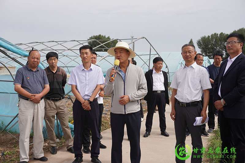 全省农技推广抓点示范现场观摩团走进临泽县观摩农业特色产业体系建设情况