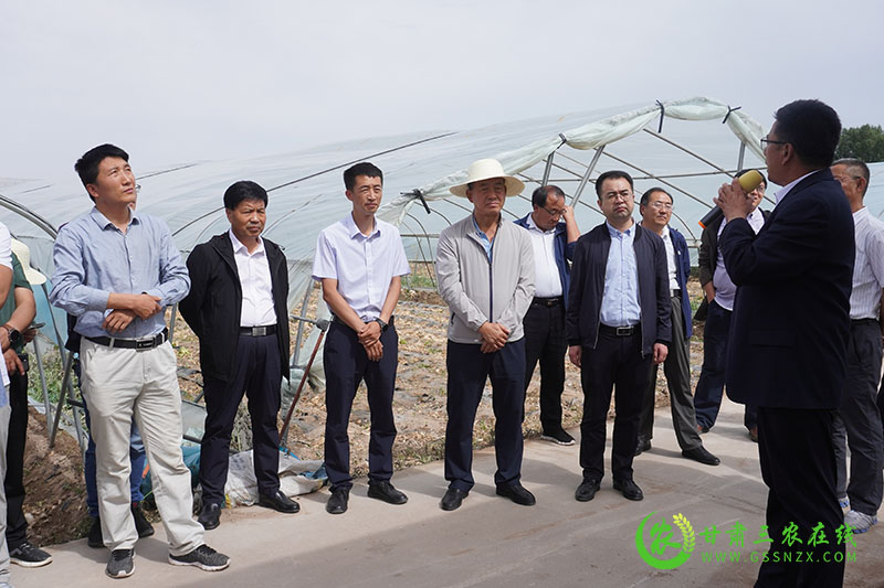 全省农技推广抓点示范现场观摩团走进临泽县观摩农业特色产业体系建设情况