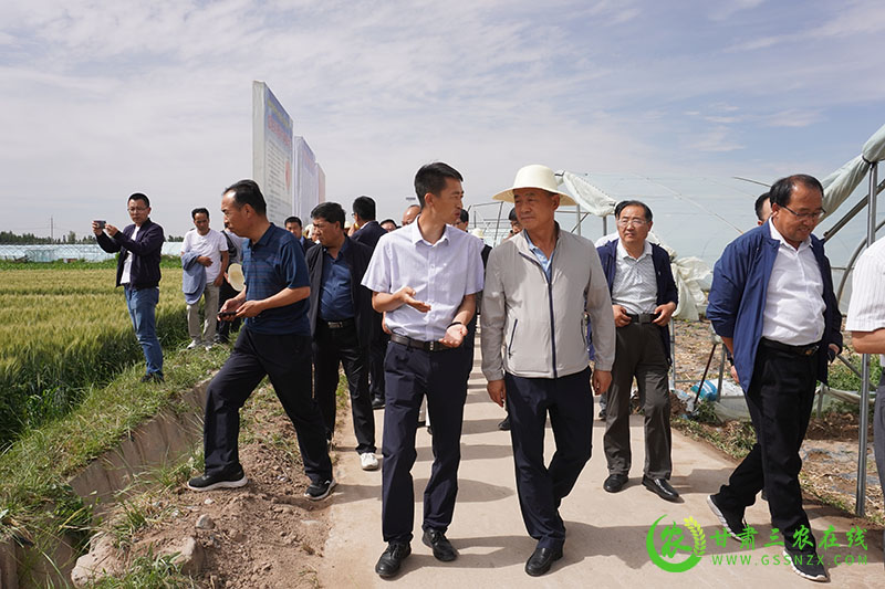 全省农技推广抓点示范现场观摩团走进临泽县观摩农业特色产业体系建设情况
