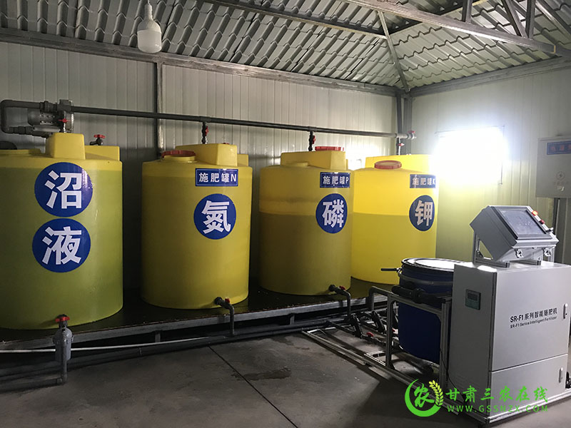 全省农技推广抓点示范现场观摩团赴高台县观摩千亩玉米高产绿色生产示范点