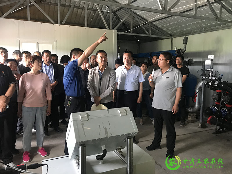 全省农技推广抓点示范现场观摩团赴高台县观摩千亩玉米高产绿色生产示范点