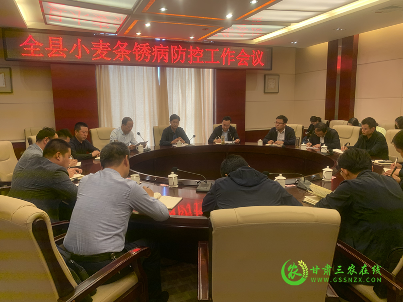 灵台县强化组织领导靠实工作责任开展小麦条锈病防控