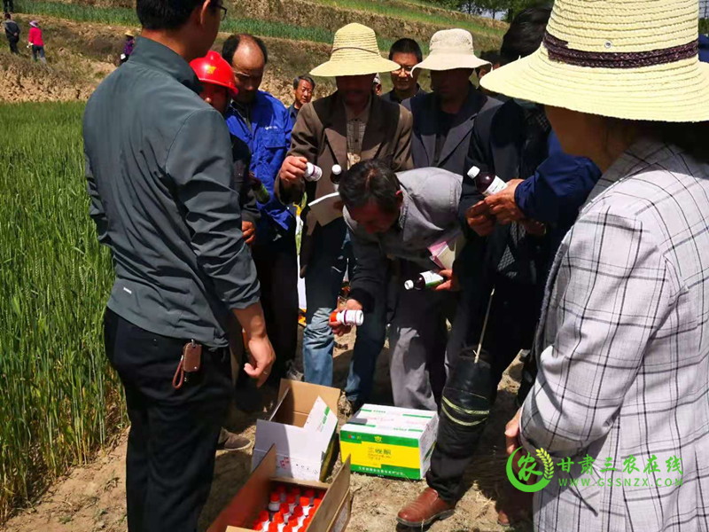 安定区召开小麦条锈病防控及农药安全施用技术现场培训会